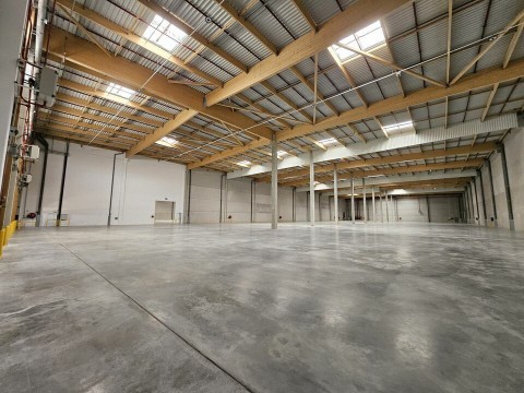 Vente Ensemble logistique de 12 000 m2 à Sainte-Hermine (85210)