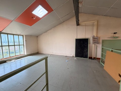 156.jpg