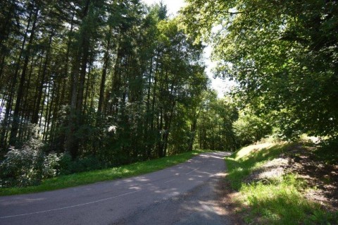 Vente Gîte d'étape et deux ruraux à Faucogney-et-la-Mer (70310)