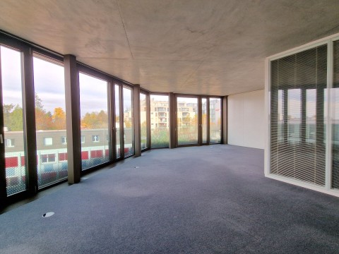 94.jpg