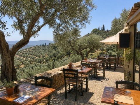 Vente Restaurant, Sandwicherie / Snack 70 couverts avec terrasse en pleine nature, proche de Béziers (34500)