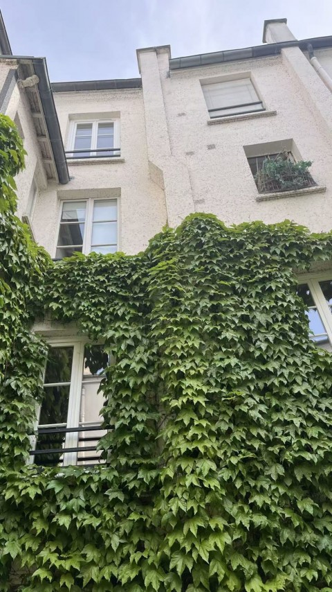 Vente Restaurant 32 couverts avec terrasse dans une zone vivante, à Paris (75005) en France
