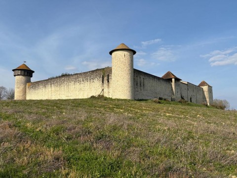 Vente Domaine historique d’exception sur 47 hectares à Libourne (33500)