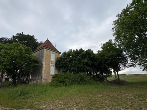 163.jpg