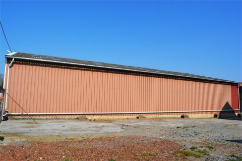 81.jpg