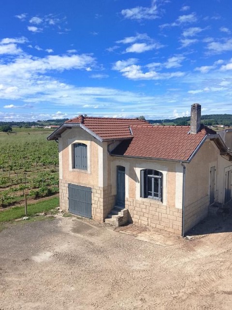 Vente Immeuble, 2000 m2 à Saint-Pey-de-Castets (33350) en France