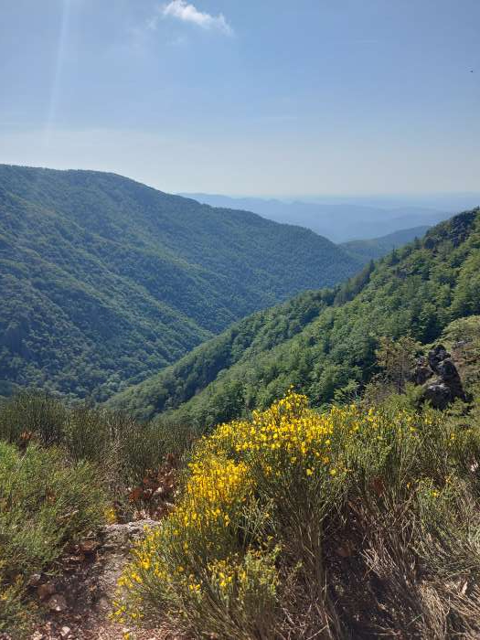 Vente Gîte de groupe et d'étape dans un petit village au calme du Gard (30)