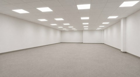 Vente Local commercial de 410 m2 pour différentes activités dans une zone commerciale, à Trignac (44570) en France