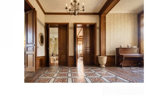 Vente Château de 595 m2 à Saint-Julien-Molin-Molette (42220)