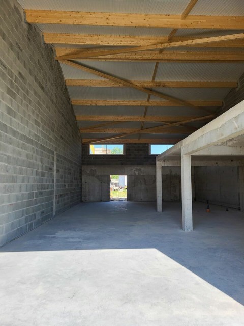 59.jpg