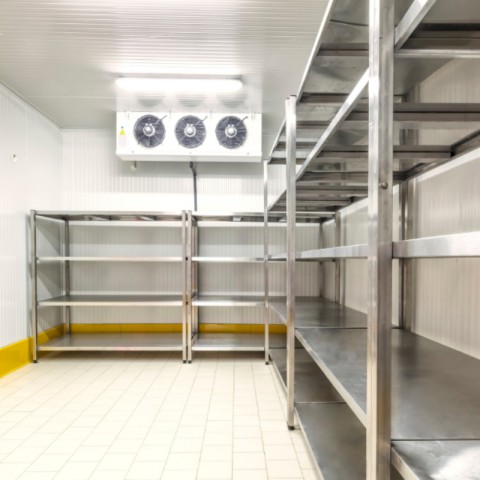 48.jpg