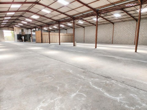 Vente Local d'activité/ entrepôt de 1 200 m2 à Saint-Alban (31140)