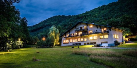 Vente Hôtel restaurant avec parking et terrasse en pleine nature, proche d'Obernai (67210)