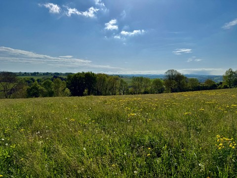 Vente Terrain, 100 m2 à Cassagnes-Bégonhès (12120)