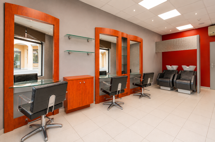 Vente Salon de coiffure mixte proche région frontalière avec la Suisse romande, à Amancy (74800)