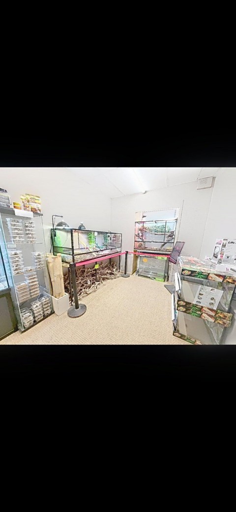 Vente Vente et achat d'animaux de compagnie, nourriture, accessoires dans une zone commerciale, à Nantes (44000)