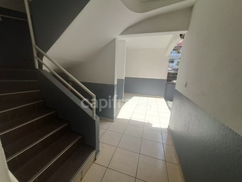 83.jpg