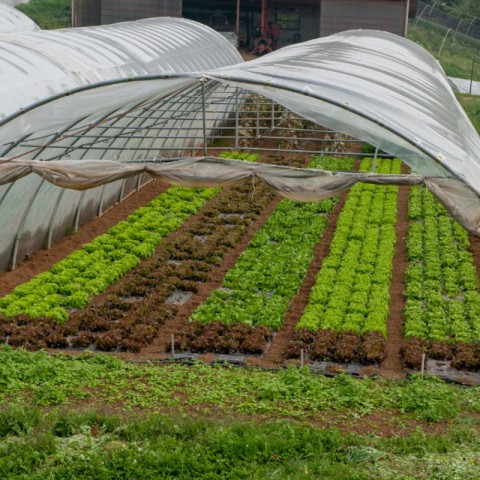 Vente Terrain, 20000 m2 à Chalon-sur-Saône (71100) en France