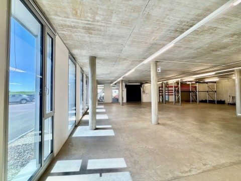 Vente Showroom, atelier, dépôt et stockage à Le Mont-sur-Lausanne en Suisse