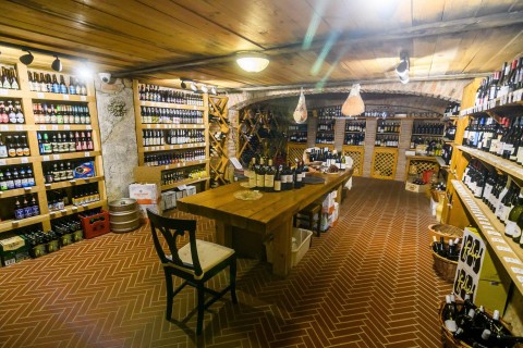 Vente Local commercial Epicerie, Vin et spiritueux à Lyon 9ème (69009) en France