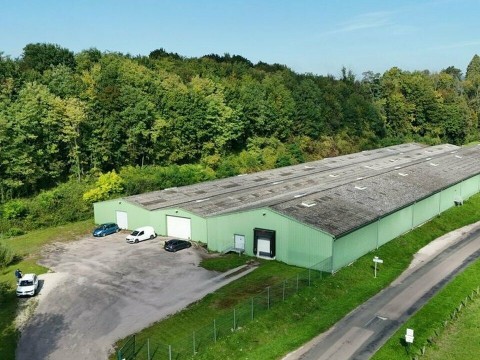 Vente Local commercial , 7000 m2 à Bourbonne-les-Bains (52400)