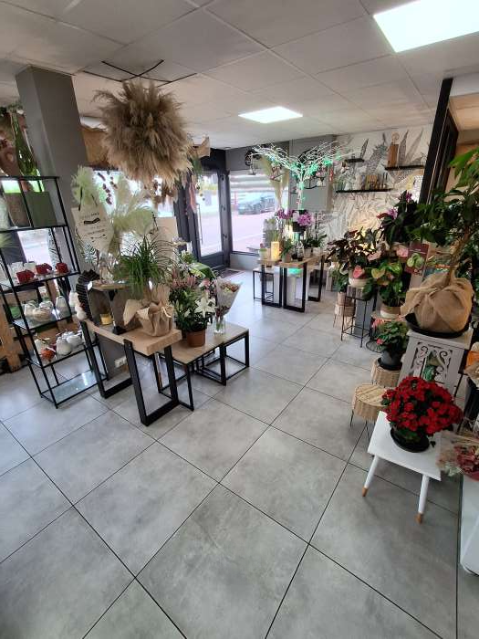 Vente Fleurs, décoration et cadeaux avec logement dans la Manche (50) en France