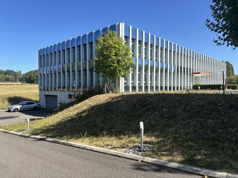47.jpg