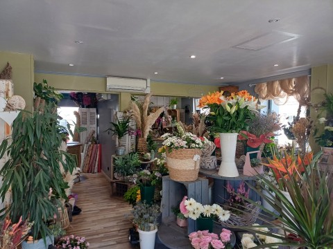 Vente Fleuriste de 40 m2 à Les Grandes-Ventes (76950) en France