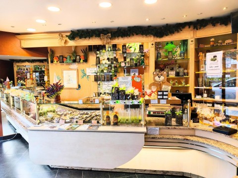 Vente Boulangerie, 200 m2 à Vittel (88800)