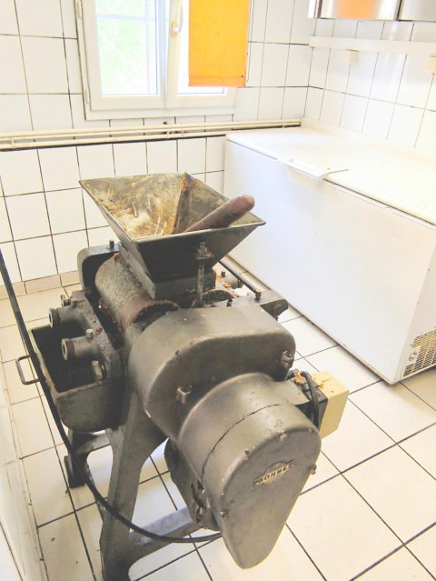 58.jpg