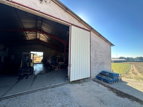 Vente Murs commerciaux, 410 m2 à Louhans (71500)